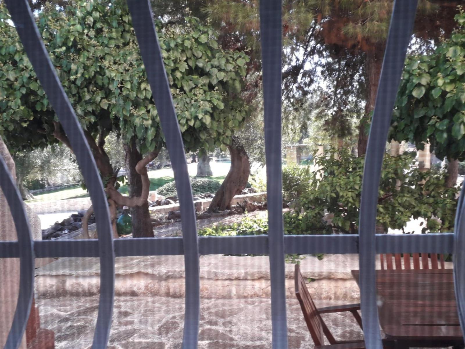 Masseria Due Torri โมโนโปลี ห้อง รูปภาพ