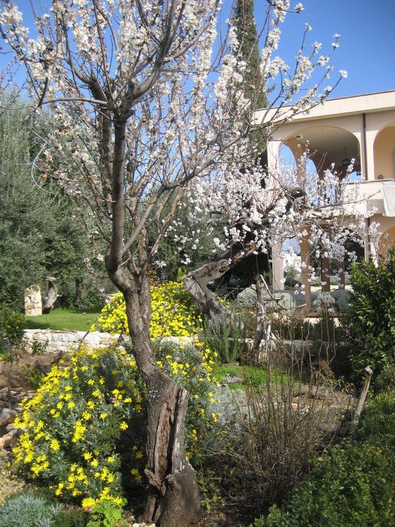 Masseria Due Torri โมโนโปลี ห้อง รูปภาพ