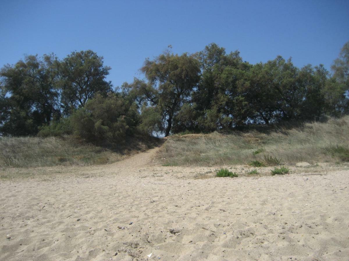 Masseria Due Torri โมโนโปลี ห้อง รูปภาพ