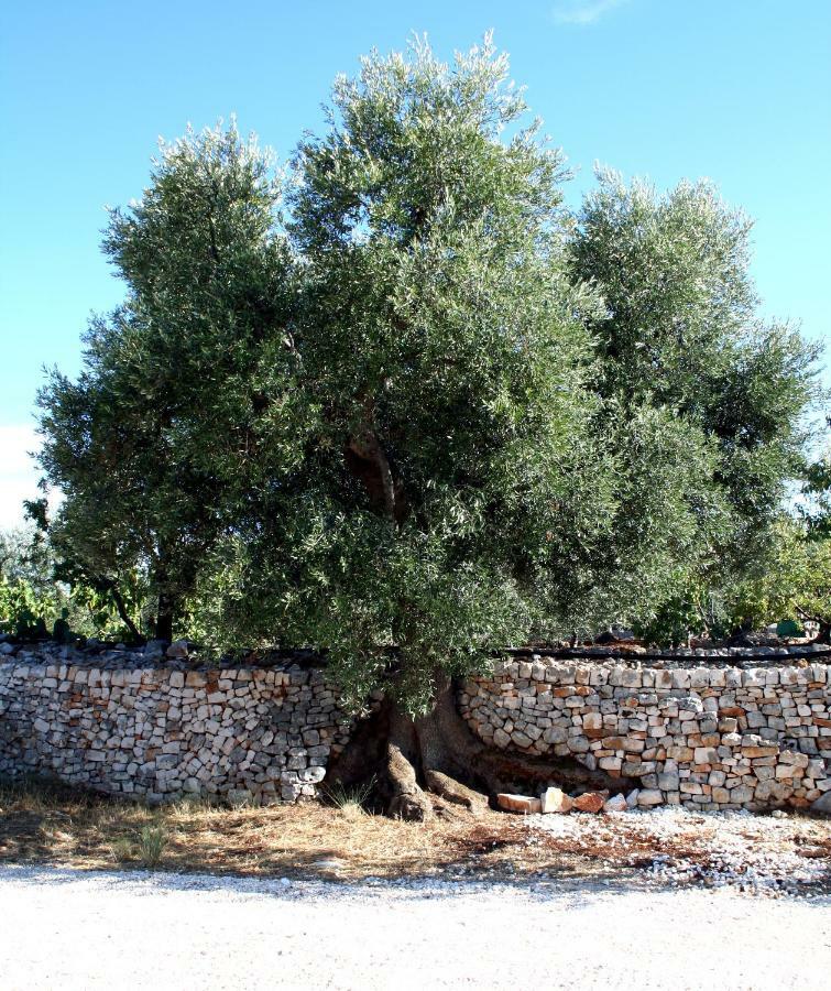 Masseria Due Torri โมโนโปลี ภายนอก รูปภาพ